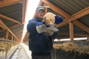 2022 metais nė vienas Lietuvoje užaugintas kailis nebuvo eksportuotas į Rusiją: kodėl valdžia mato kitaip?