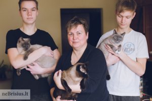 Keturių vienoje šeimoje atsidūrusių katinėlių išgyvenimai – vienas už kitą baisesni: antras šansas pakeitė likimus