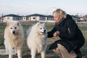 Nuo didelio ir gauruoto šuns visi praeiviai traukiasi į šoną, tačiau viskas yra kitaip, negu atrodo
