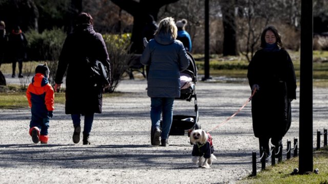 Pirmąją pavasario dieną saulės spindulių nestigs: kritulių tikimybė sumažės iki minimumo