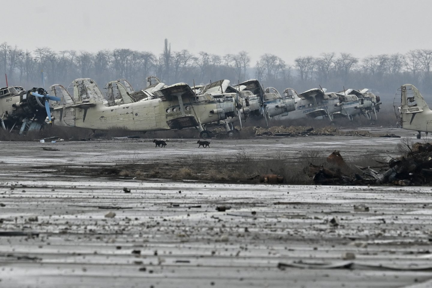 Karas Ukrainoje. Apgadinti civiliniai lėktuvai Chersono tarptautiniame oro uoste, esančiame Černobaivkos kaime.<br>AFP/Scanpix nuotr.