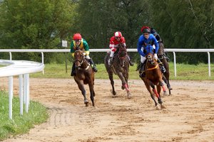 Pasikeitus Raseinių hipodromo nuomininkams, miestas tikisi tapti Lietuvos žirginio sporto sostine