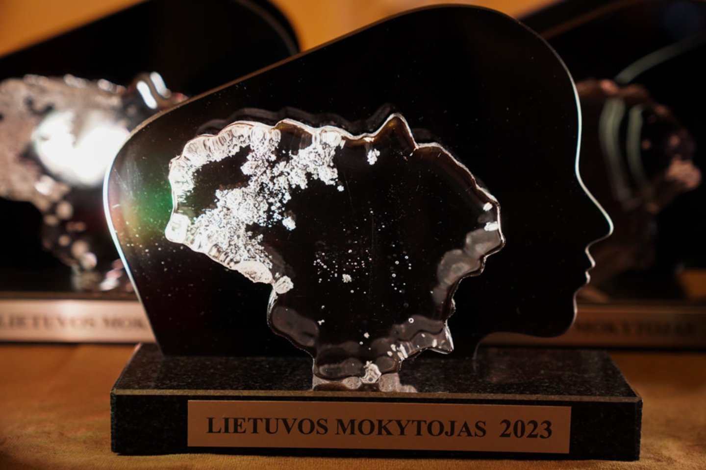 Išdalinti „Lietuvos mokytojas 2023“ apdovanojimai.<br> G. Bitvinsko nuotr.