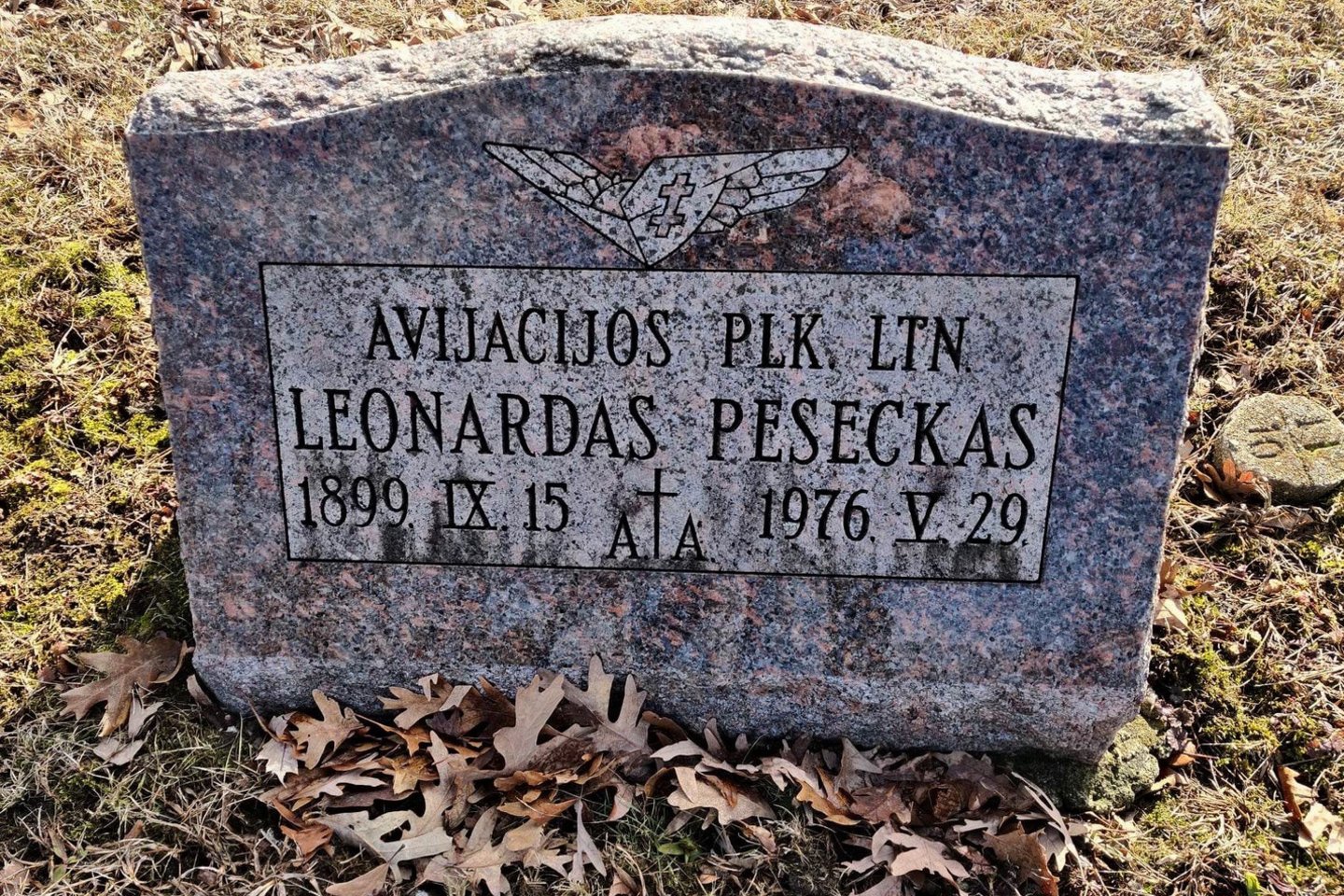 Aviacijos pulkininko L.Pesecko kapas Čikagoje.<br>E.Lukoševičiaus nuotr. 