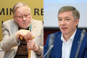 Valstiečių frakcija kreipsis į Konstitucinį Teismą dėl Vytauto Landsbergio pripažinimo valstybės vadovu