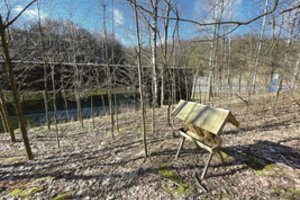 Kauniečiai nustebę – miesto centre rado kai ką netikėto