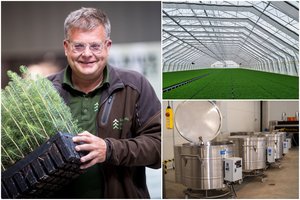 Vieno moderniausių medelynų Baltijos šalyse vadovas E. Kaluina: darbas medelyne – nenutrūkstamas procesas