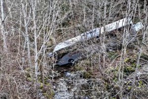 Prancūzijoje apvirto autobusas su vaikais – sužeista 16 žmonių