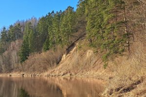Atnaujinamas Škėvonių gūbrio pažintinis takas