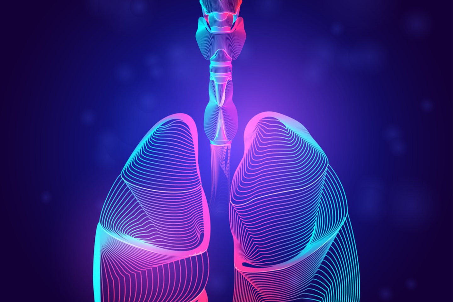 Žmogaus plaučiai<br>123rf iliustr.