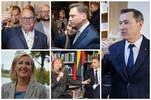 Rinkimai – politologų akimis: paaiškino, ką apie Lietuvą sako rezultatai