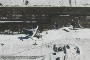 Stebėjimo grupė: Baltarusijos Mačiuliškių miestelyje kelias minutes gaudė oro pavojaus sirenos