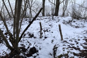 Nemalonus aplinkosaugininkų radinys: brakonierius buvo pastatęs net 17 kilpų