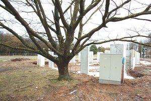 Ekskursija po Kauno statybvietes: ne visi architektai vertingiems medžiams palieka jose vietos