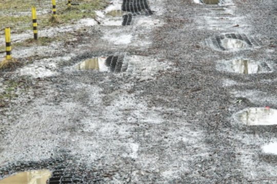 Pinigus išmetė į balą: automobiliams statyti vietose telkšo balos ir jokių žolės ženklų