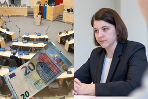 G. Skaistė apie mokesčių peržiūrą: tam tikrų lengvatų atsisakymas lobistams nelabai patiks