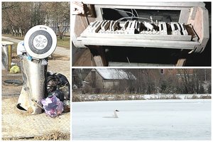 Kaip Lietuva gyveno praėjusią savaitę: nuo Visagino iki pajūrio