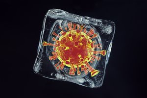 Mokslininkai prikėlė virusą „zombį“ , kuris 48 500 metų buvo įkalintas amžinajame Arkties įšale