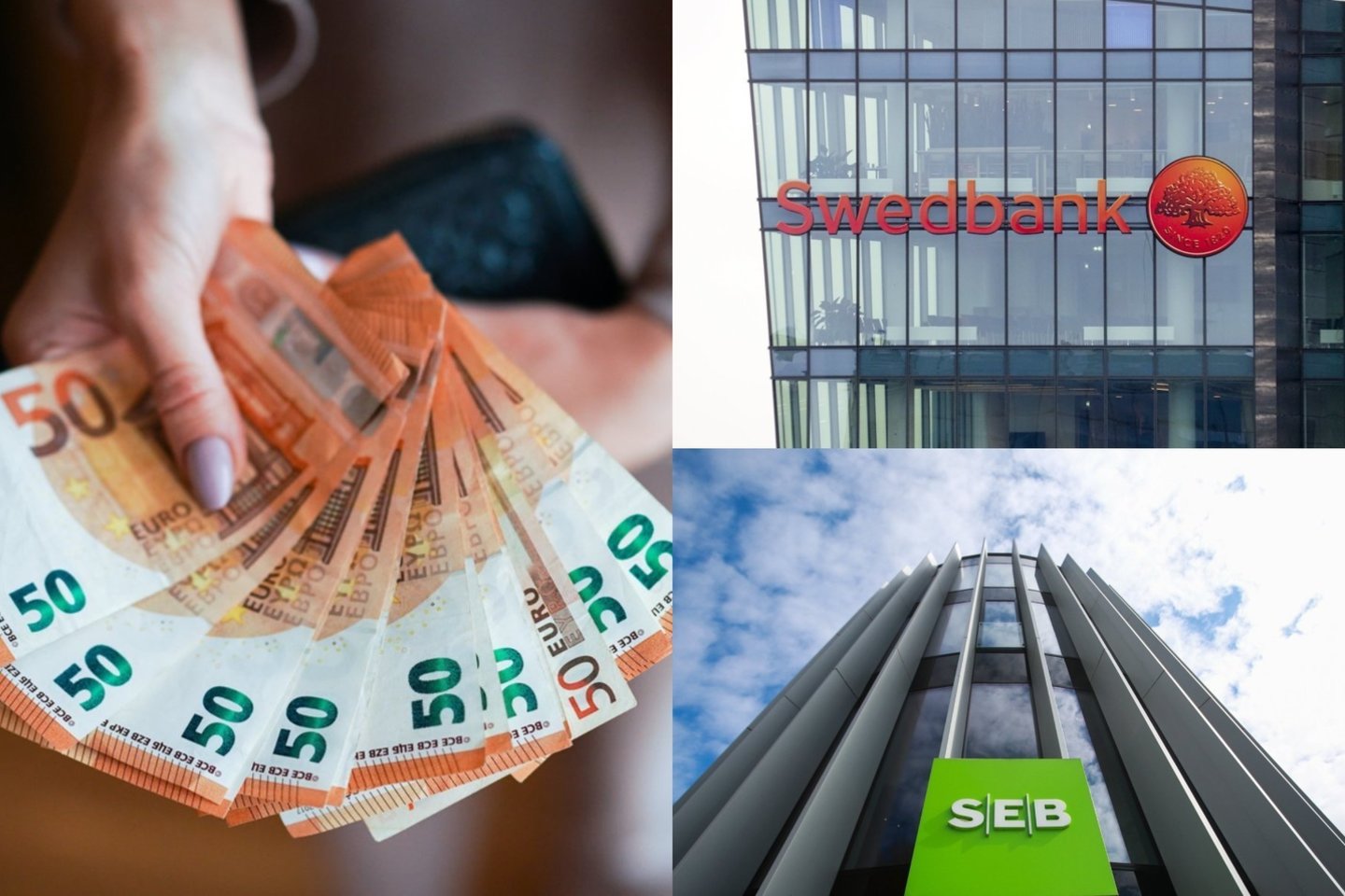 Apie bankų viršpelnių apmokestinimą viešai diskutuoja ir Lietuvos ekonomistai.<br>G.Bitvinsko nuotr. / lrytas.lt koliažas.