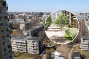 Kaune gaivins senuosius mikrorajonus: daugiabučių gyventojams žada svajonių kiemus