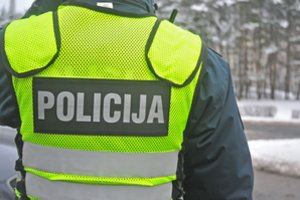 Vilkiko ir automobilio kaktomuša Marijampolės rajone: į ligoninę išgabenta besilaukianti moteris ir vyras