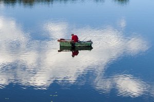 Kodėl paleisti žūklės laimikį yra ekologiška?
