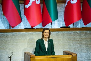 V. Čmilytės-Nielsen Kovo 11-osios sveikinimo kalboje – linkėjimas „susirikiuoti vertybinius akcentus“: greta vyksta karas prieš laisvę