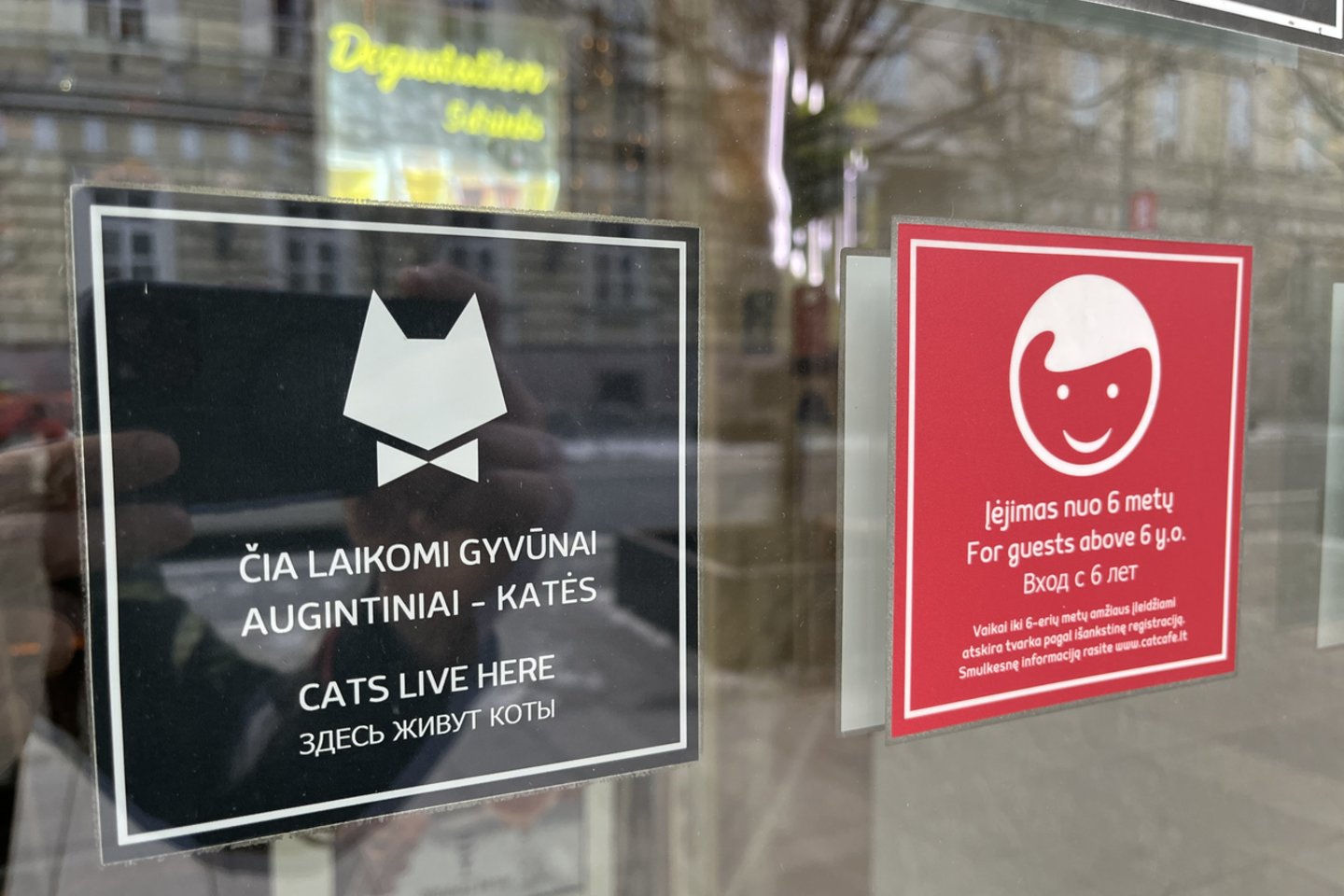  Kačių kavinės atstovai primena apie galiojančias taisykles.<br> Kačių kavinės atstovų nuotr.
