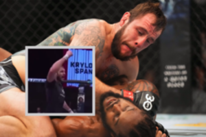 Ukrainiečiai pasmerkė tautiečio kovotojo triumfą UFC narve