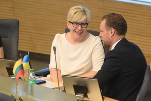 Po kritikos dėl G. Landsbergio pareiškimų – I. Šimonytės atkirtis: labai dažnai girdėjome patarimų patylėti