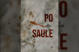 Apie atmintį ir gamtą: ekopoetinis Julios Fiedorczuk romanas „Po saule“
