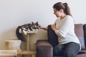 Automobilio partrenktą kačiuką išvydusi Agnė prarado ramybę – netrukus žiauraus likimo pažymėtas Benas rado namus