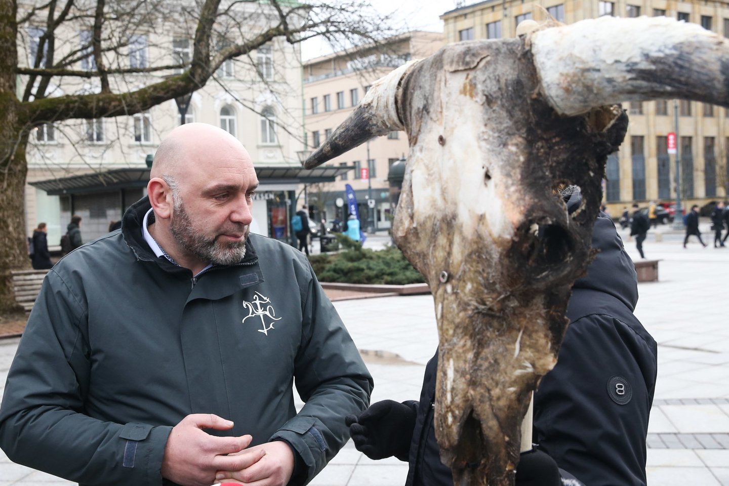  Ūkininkai prie Vyriausybės atsivežė karvę.<br> R.Danisevičiaus nuotr.