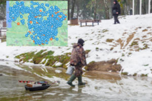 Bunda pavojingi parazitai: sunkia liga kasmet užkrečia arti 4 tūkst. lietuvių