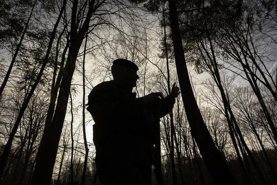 Vokietijos žurnalistas – atvirai apie tikruosius vokiečių planus dėl brigados ir skambius Lietuvos politikų pareiškimus