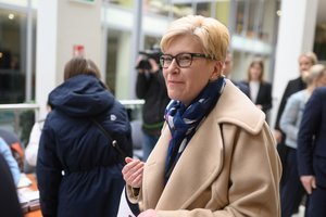 I. Šimonytė: Anykščiuose ir Visagine reikėtų pakartoti merų rinkimus