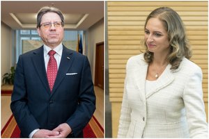 S. Šedbarą Seime pakeis R. Petrauskienė: sprendimą priėmiau