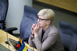 I. Šimonytė apie naują mokestį: tai, kad bankų sistemoje nukritęs milijardas iš dangaus, nėra visuomeniškai teisinga