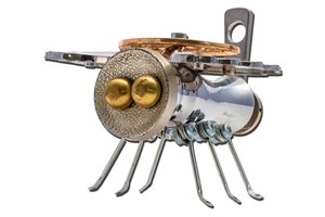 Robotės bitės ir šaknys gali atlikti esminį vaidmenį gelbėjant mūsų planetą