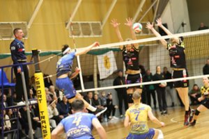 Stipriausios Lietuvos tinklinio komandos stoja į kovą dėl vietos finale