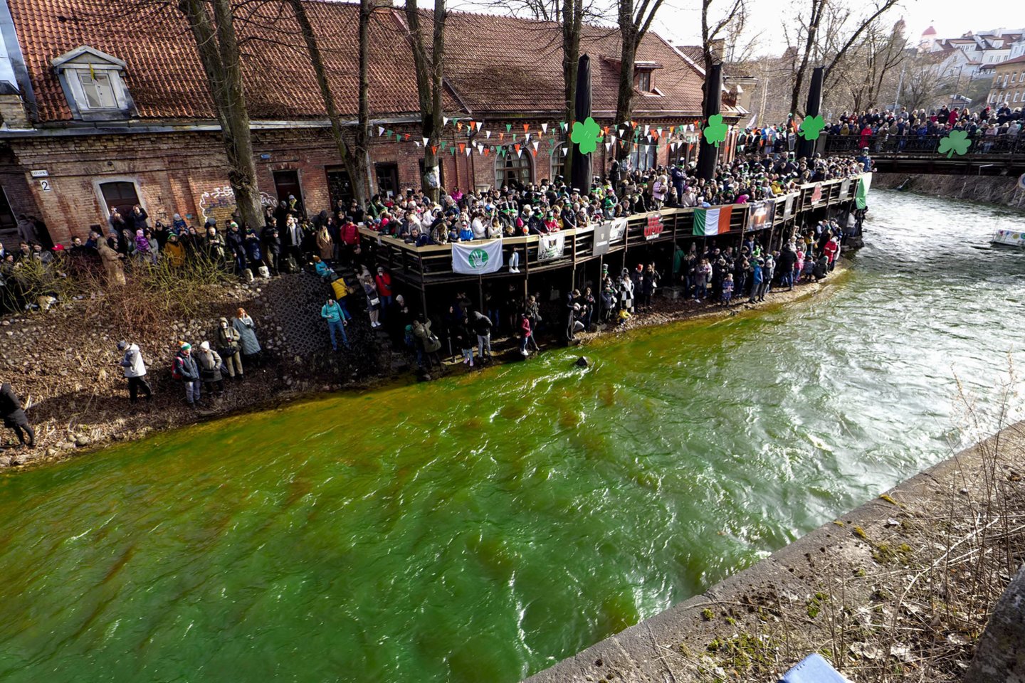 Vilniuje žalia spalva Šv. Patriko dienos minėjimo proga Užupyje nudažyta Vilnelė.<br>V.Ščiavinsko nuotr.