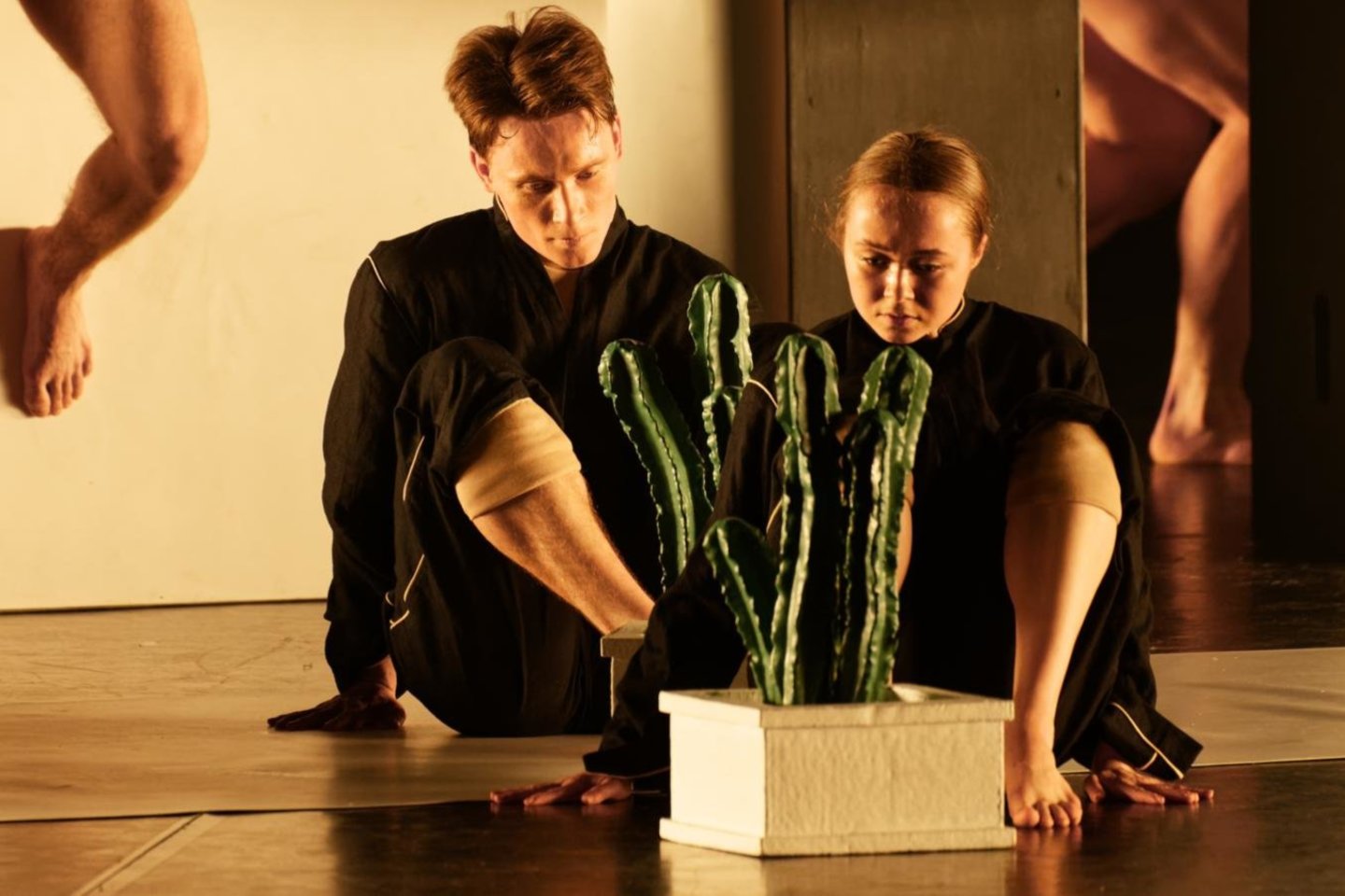 Choreografo A.Ekmano „Cacti“ (Kaktusai). <br> M. Aleksos nuotr.