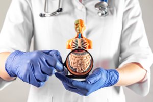 Varginantys žarnyno sutrikimai gali signalizuoti apie mirtiną ligą: nedera numoti ranka