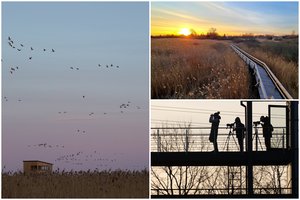 Žuvinto biosferos rezervate vyko paukščių sutiktuvės: susirinko daugiau nei 100 paukščių mylėtojų