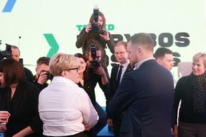 Daliai konservatorių guodžiantis Vilniumi, pasigirdo ir vieši priekaištai: jau rado nesėkmės kaltininkus