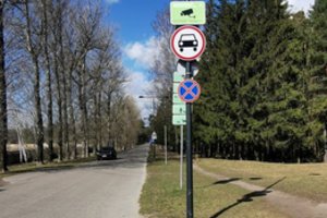 Dėl kasmetės varliagyvių migracijos Vingio parke įvedami laikini eismo ribojimai