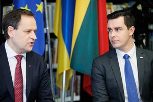 Lietuvos lenkų rinkimų akcija apskundė Vilniaus rajono mero rezultatus