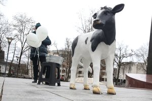 Ministras K. Navickas Briuselyje prašė išskirtinės paramos pieno gamintojams