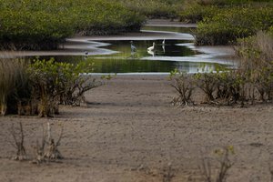 JT kritikuoja „vampyrišką“ vandens išteklių naudojimą pasaulyje