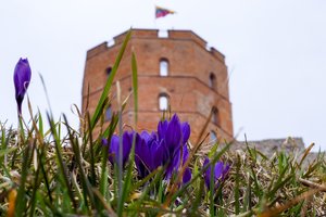 Vilnius – vienas perspektyviausių Europos miestų: didžiausioje pasaulyje NT parodoje laimėjo net 10 apdovanojimų